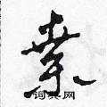田青刚写的硬笔草书桑