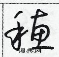 朱寿友写的硬笔草书穗