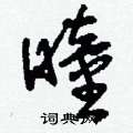 刘少英写的硬笔草书瞳