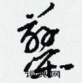 刘少英写的硬笔草书蓼
