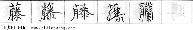 藤钢笔字典