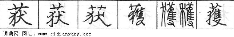 获钢笔字典