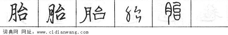 胎钢笔字典