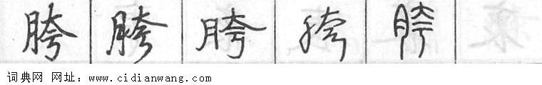 胯钢笔字典