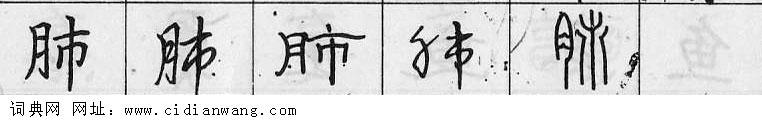 肺钢笔字典