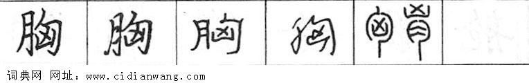 胸钢笔字典