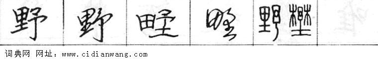 野钢笔字典
