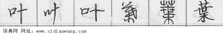 叶钢笔字典