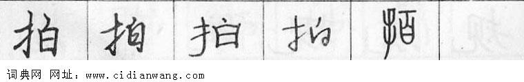 拍钢笔字典