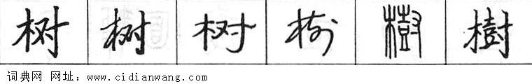 树钢笔字典