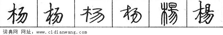 杨钢笔字典