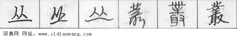 丛钢笔字典